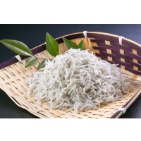 しらす干し　1ｋｇ　ご自宅用