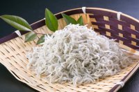 しらす干し　1ｋｇ　ご自宅用